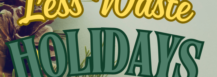 Less Waste for the Holidays